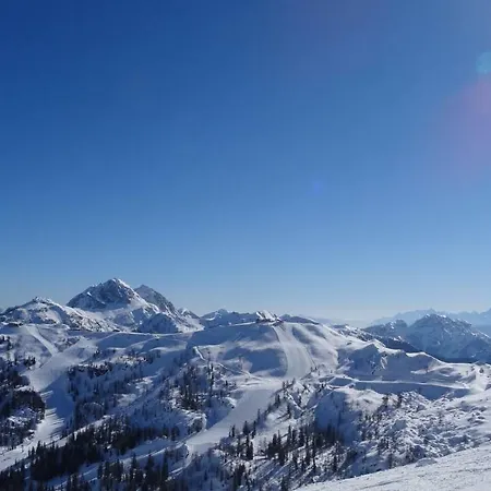 Enzi 바이스브리아흐