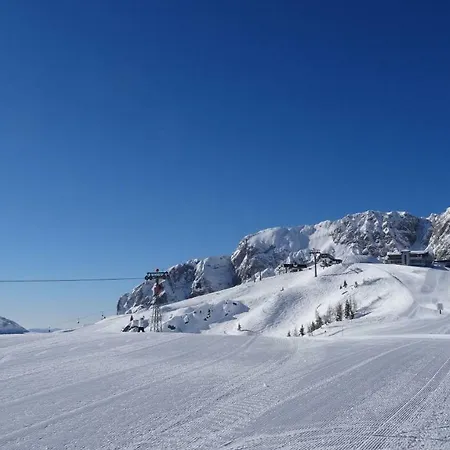 Enzi * 바이스브리아흐