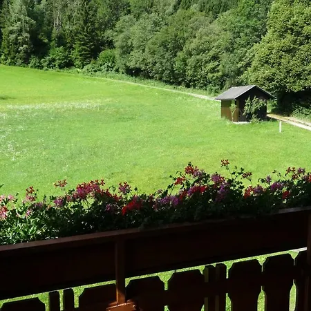 Enzi 바이스브리아흐