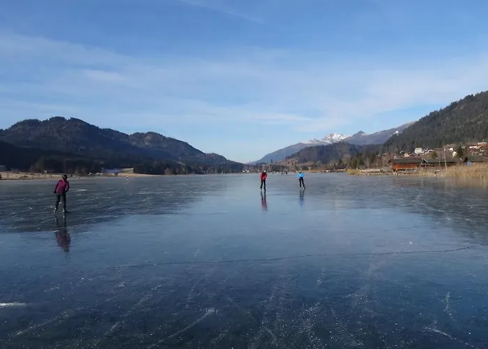 Apartment Enzi Weissbriach